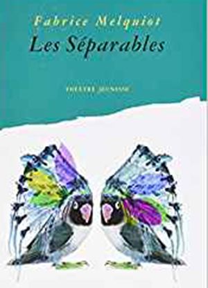 separables_1.jpg